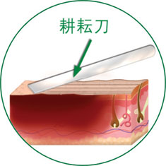 尊龙凯时·(中国区)人生就是搏!