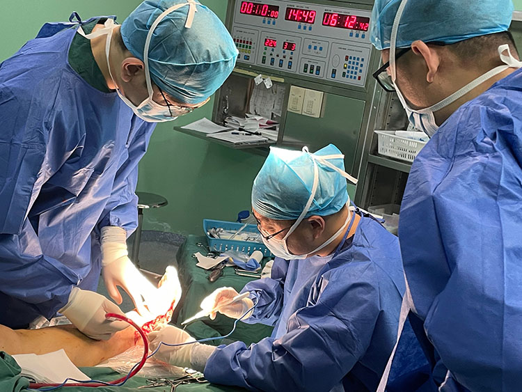 尊龙凯时·(中国区)人生就是搏!